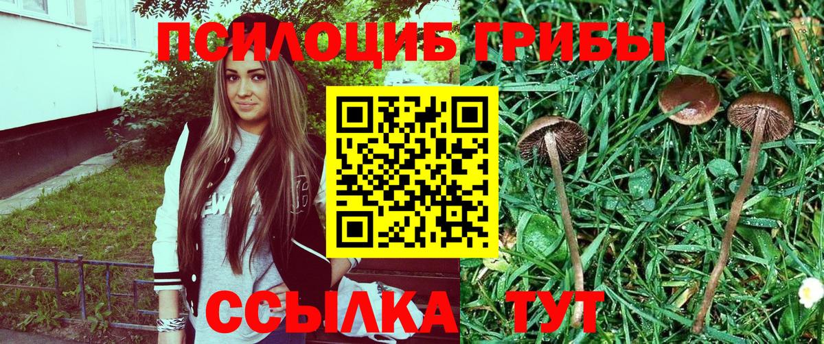 Вышний Волочёк  Псилоцибиновые грибы мухоморы  как найти закладки  Вход с VPN 