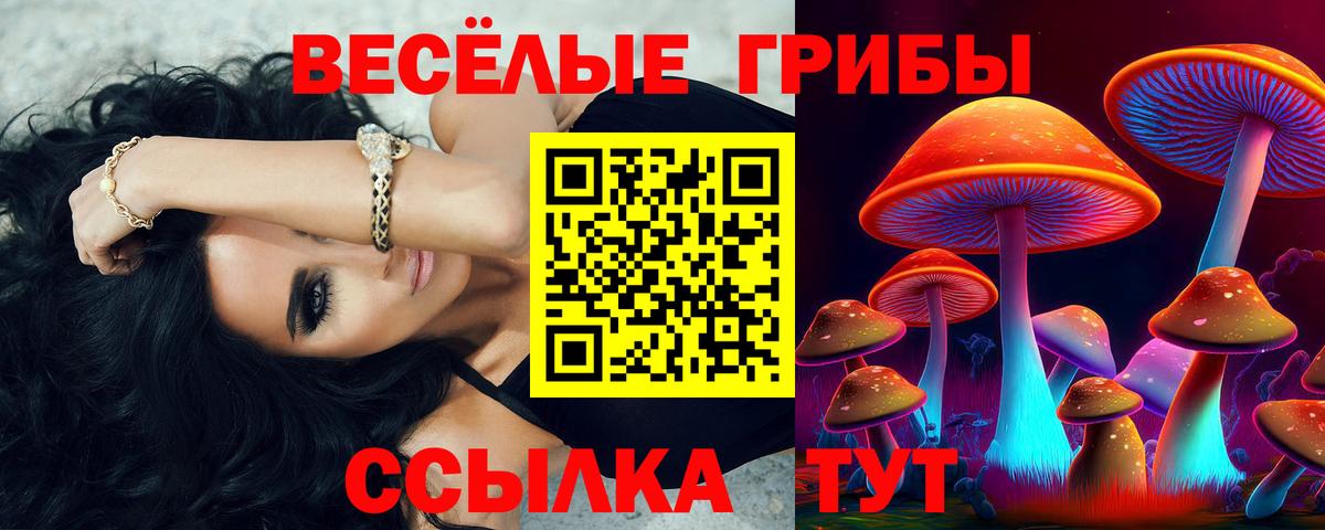 Галлюциногенные грибы прущие грибы Вышний Волочёк